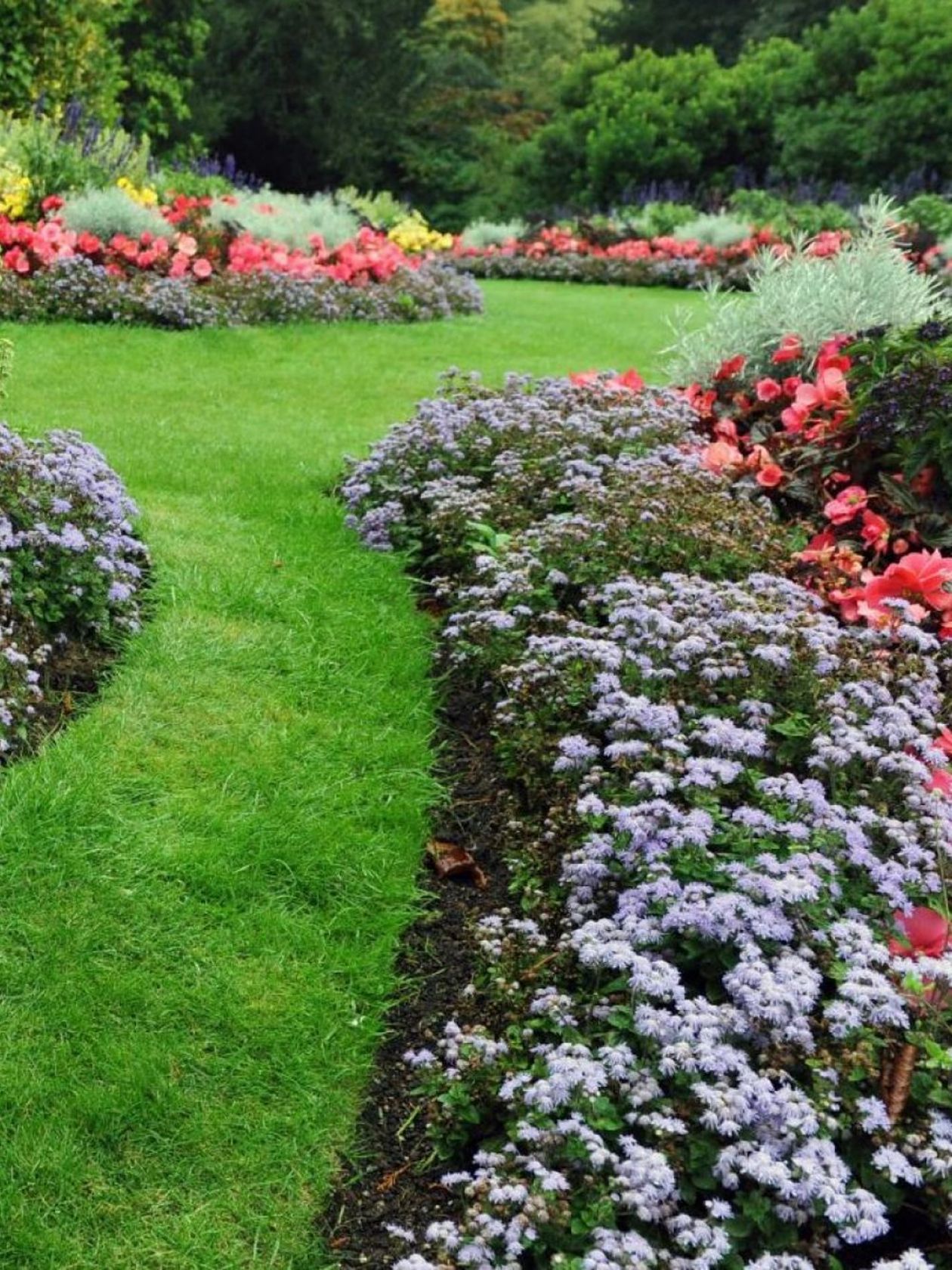 Pielęgnacja zieleni miejskiej