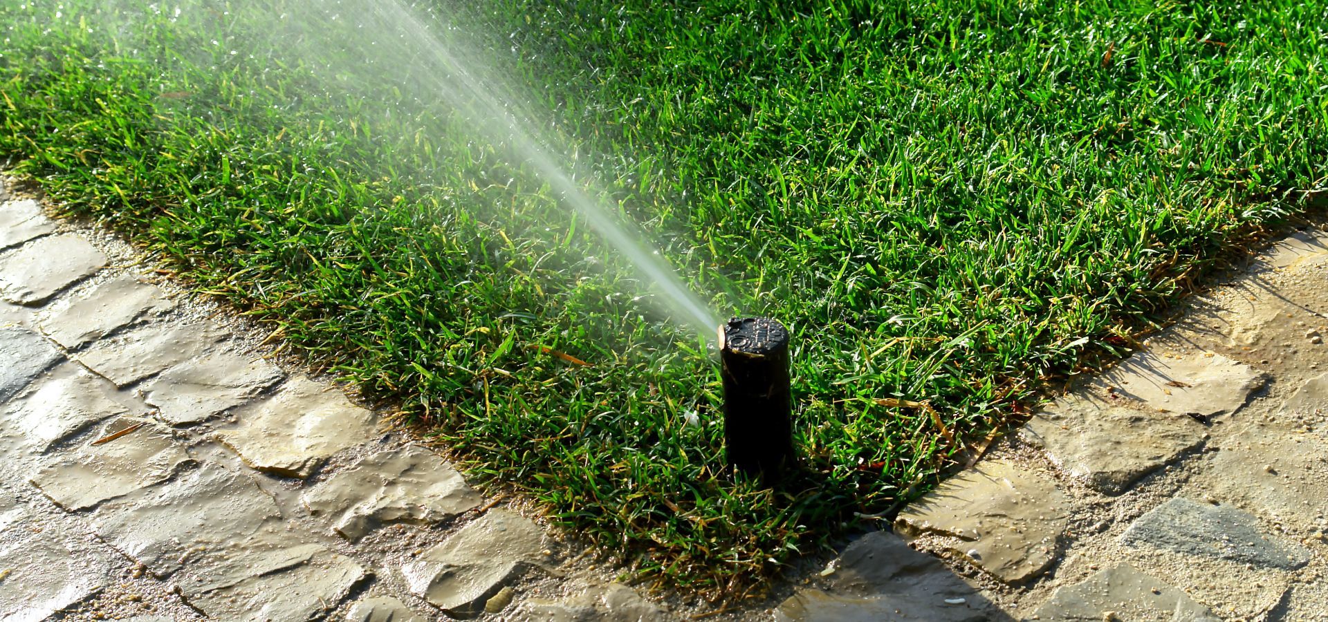 Systemy automatycznego nawadniania